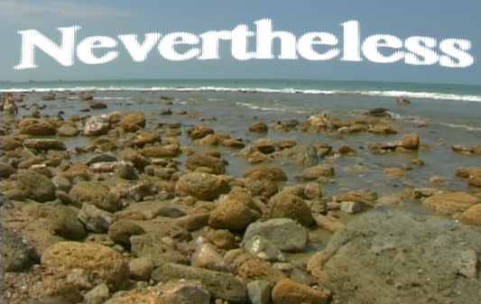 NEVERTHELESS